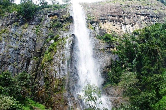 TukTuk Safari in Tea & Spice plantation,View Points,Upper Diyaluma WaterFalls, - Transportation and Overall Value