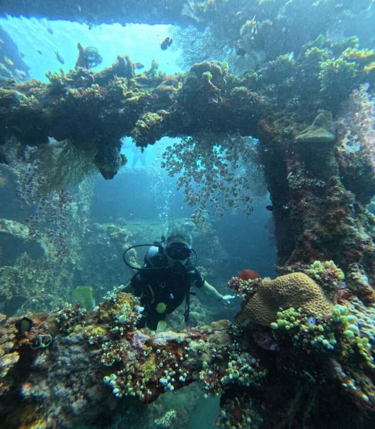 Tulamben Liberty Wreck 3 dives daytrip from South Bali - Coral Garden and Drop Off: Natural Marvels