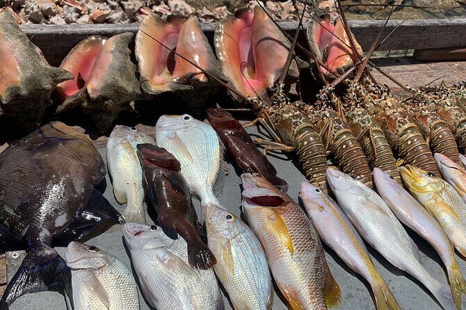 Turks And Caicos 4 Hours Fishing Experience - Final Thoughts: A Truly Authentic Island Fishing Experience