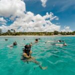 Turtle and Shipwreck adventure on 57 ft catamaran - What We Loved About the Tour