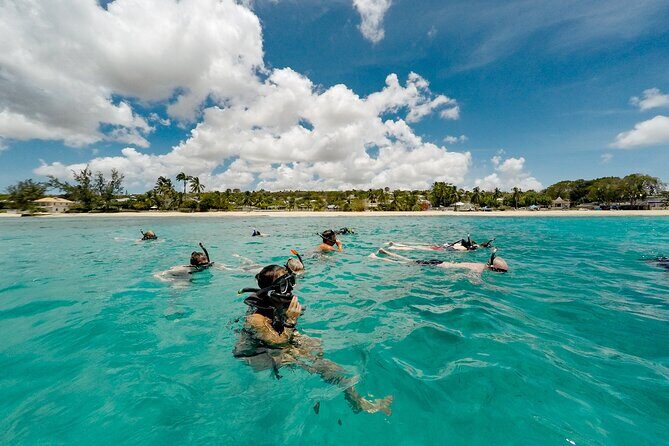 Turtle and Shipwreck adventure on 57 ft catamaran - What We Loved About the Tour