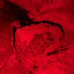 Turtle Tales of Pulau Banyak - Practical Tips for Your Trip