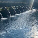 Two days Tour in Bali Island - Practical Details and Traveler Insights