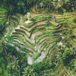 Ubud: 3-Day Tour with Sacred Monkey Forest Sanctuary. - Transportation and Practical Details