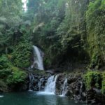 Ubud: 3 Spectacular Waterfalls In Ubud With Transfer - Discovering Bali’s Waterfalls: A Deep Dive