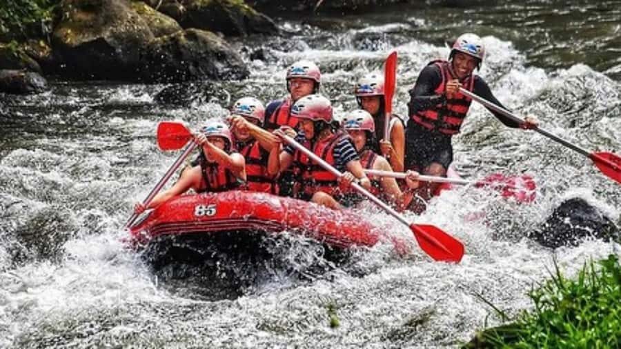 Ubud: ATV Jungle Buggy Ride and White Water Rafting in Bali - What Makes This Tour Stand Out?