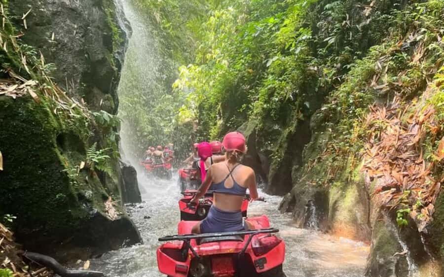 Ubud: ATV Quad Bike, Jungle Swing & Coffee Plantation - Who is This Tour Best For?