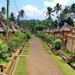 Ubud : Balinese House, Hidden Rice Field, & Coffee Break - Discovering the Hidden Rice Fields of Mancingan
