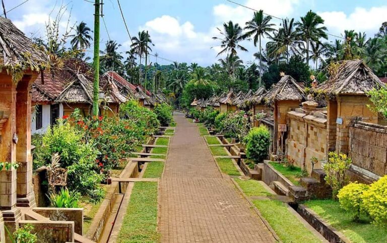 Ubud : Balinese House, Hidden Rice Field, & Coffee Break - Discovering the Hidden Rice Fields of Mancingan