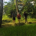 Ubud: Balinese Village Life, Organic Farm Dinner and Firefly Tour - Wrapping It Up