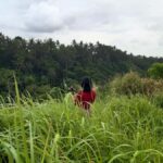 Ubud: Campuhan Ridge Walk, Tegallalang Rice Terrace & More - Practical Details & What You Can Expect