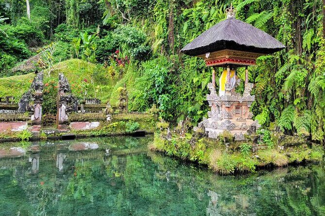 Ubud Car Hire With Driver : Customize Your Trip in Ubud Area - Exploring the Itinerary: What You Can Expect