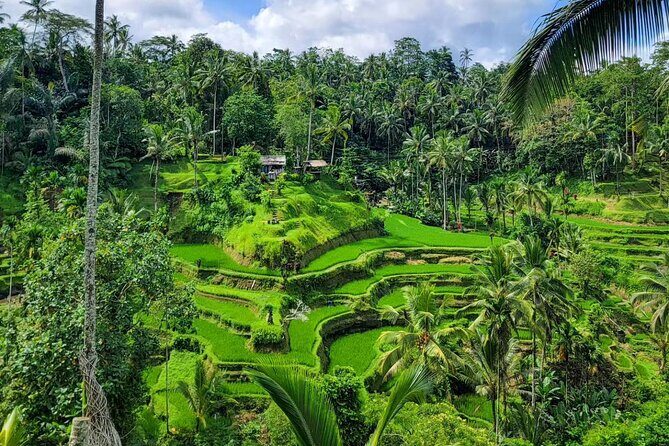 Ubud Car Hire With Driver : Customize Your Trip in Ubud Area - The Flexibility of a Customizable Ubud Tour