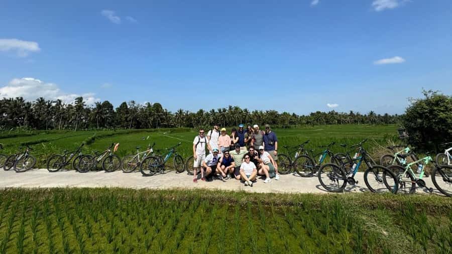 Ubud: E-Bikes Tour & Swing Bali - The Itinerary Breakdown: What to Expect
