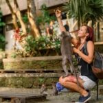 Ubud Essentials: Temples, Rice Terraces & Jungle Waterfalls - What’s Included and What to Keep in Mind