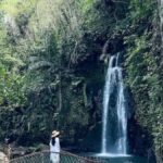 Ubud: Full-Day. Rice Terrace, Tirta Empul Temple & Waterfall - Who This Tour Is Best For