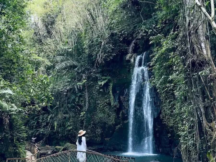 Ubud: Full-Day. Rice Terrace, Tirta Empul Temple & Waterfall - Who This Tour Is Best For