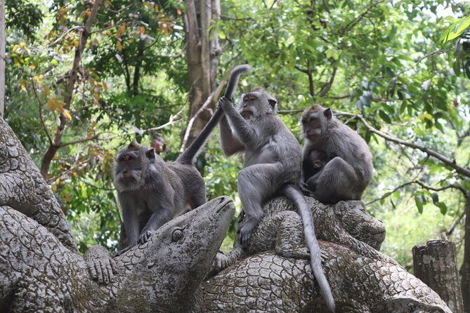 Ubud Full Day Tour with Entry Tickets - Final Thoughts