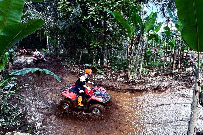 Ubud Gorilla ATV Quad Bike Adventure with Meal - Authentic Experiences from Reviewers