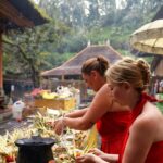 Ubud Harmony & Balance: Temples, Rice Fields & Waterfalls - Practicalities and Tips