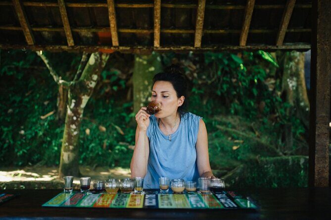 Ubud Hidden Gems Tour  Guided by Bali Local Expert - The Sum Up