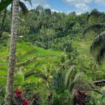 Ubud Hidden Wonders A Day in Balis Heart - Authenticity and Value