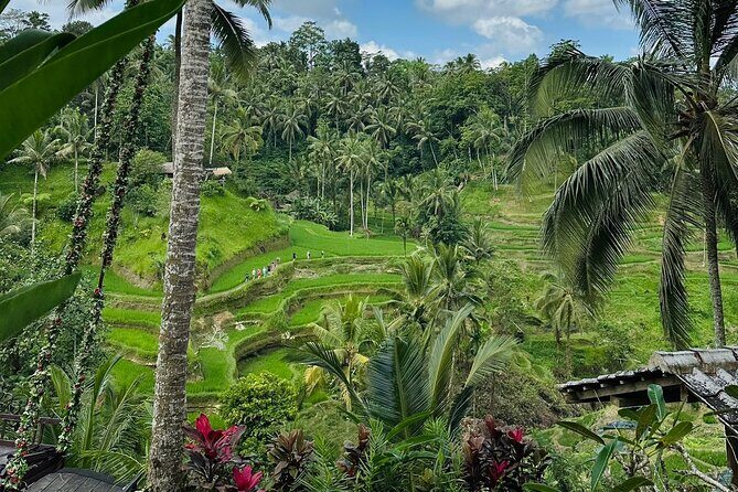 Ubud Hidden Wonders A Day in Balis Heart - Authenticity and Value