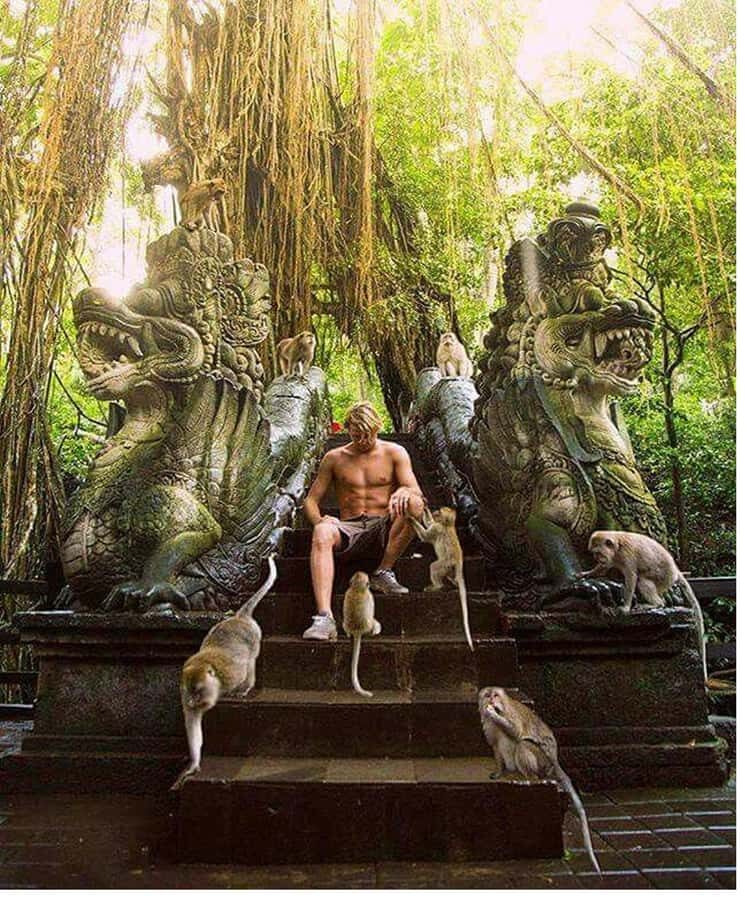 Ubud: Highlight Nature Wildlife, Swing & Waterfall - Exploring Ubud’s Natural Attractions