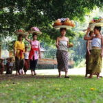 Ubud Highlights Tour ( Private All-Inclusive ) - Who Would Love This Tour?