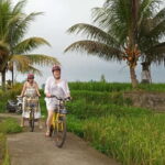 Ubud : Kintamani Downhill Cycling Tour with Lunch - What the Bikes and Transportation Say About the Tour
