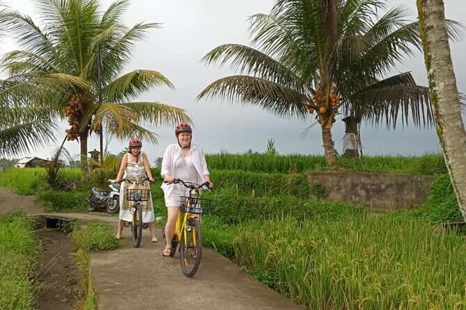 Ubud : Kintamani Downhill Cycling Tour with Lunch - What the Bikes and Transportation Say About the Tour