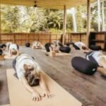 Ubud: Kundalini Yoga and Sound Experience - What to Expect During the Session