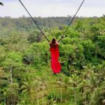 Ubud: Monkey Forest and Pakudui Rice Terrace Tour - Practical Details and What to Expect