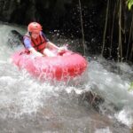 Ubud: Pakerisan Jungle River Tubing Adventure with Lunch - What You Can Expect from the Tour