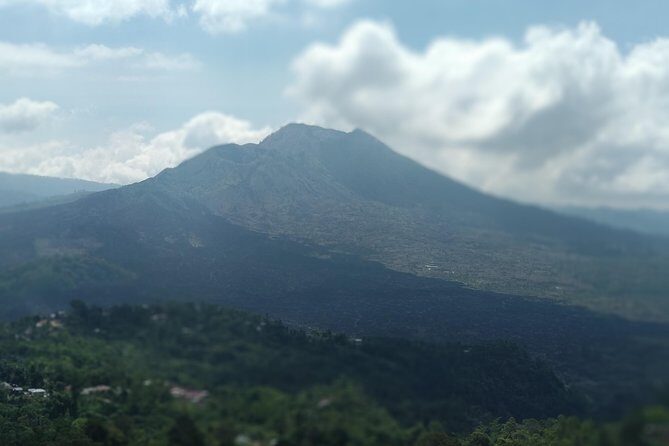 Ubud Private & Customize Day Tour - The Sum Up