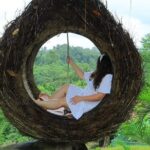 Ubud Private Tour: Waterfall, Monkey Forest, Rice Terrace, Temple - Transportation and Guide Quality