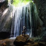 Ubud Private Tour - Waterfalls, Water Temple & Rice Terraces - Authenticity and Reviewer Insights