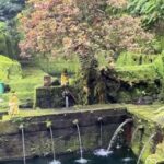 Ubud-Tgll: Telaga Waja Kenderan and Manuaba Waterfall Tour - Why This Tour Works Well