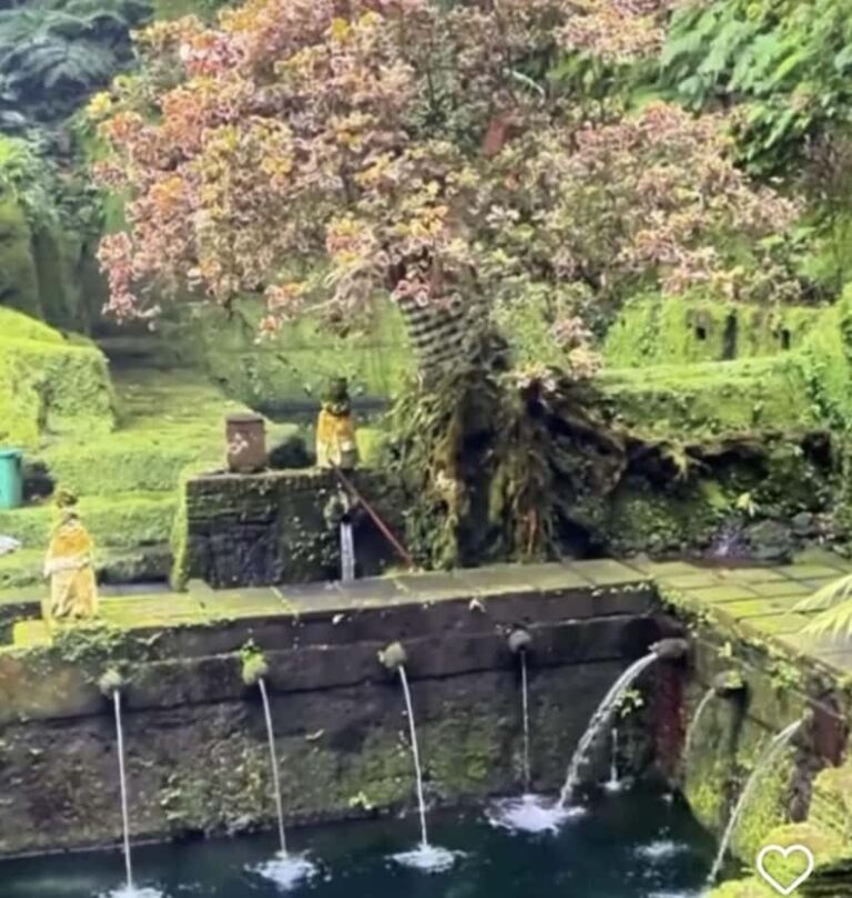 Ubud-Tgll: Telaga Waja Kenderan and Manuaba Waterfall Tour - Why This Tour Works Well