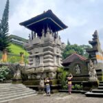 Ubud: Tirta empul temple, Rice terrace and Waterfall - What Sets This Tour Apart?