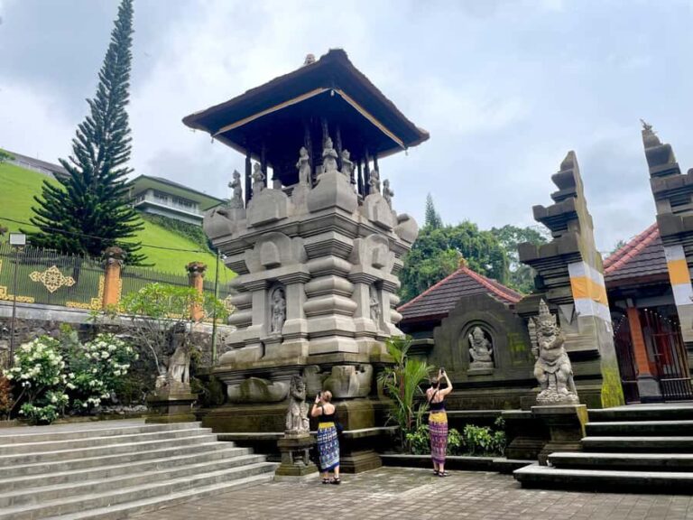 Ubud: Tirta empul temple, Rice terrace and Waterfall - What Sets This Tour Apart?