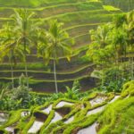 Ubud: Tirta Empul Temple, Rice Terraces, and Waterfall Tour - Exploring the Details of the Ubud Tour
