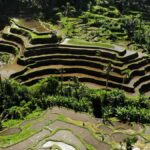 Ubud: Tirta Empul Temple, Rice Terraces, and Waterfall Tour - Practical Details & Value Analysis