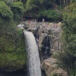 Ubud Top tour in a day - Itinerary Breakdown