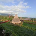 ubud trip monkey forest sanctuary - Who Will Love This Tour