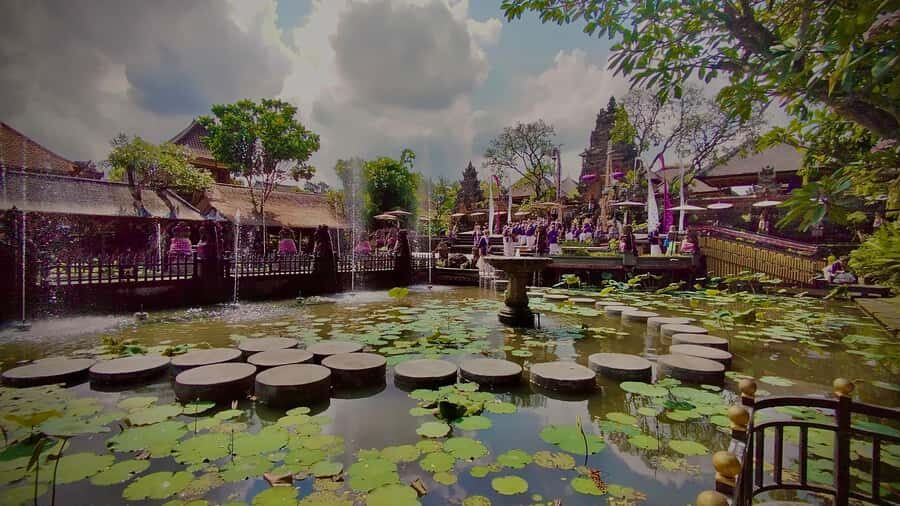 Ubud: Walking Tour with Campuhan Ridge & Monkey Forest - What to Expect and Practical Tips