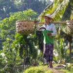 Ubud:Monkey Forest, Rice Terraces, Water Temples, Waterfalls - Why This Tour Works