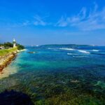 Udawalawe Safari and Galle Day Tour - Exploring Udawalawe National Park