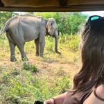 Udawalawe Safari & Elephant Orphanage visit from Hambantota Fort - Final Thoughts: Is It Worth It?