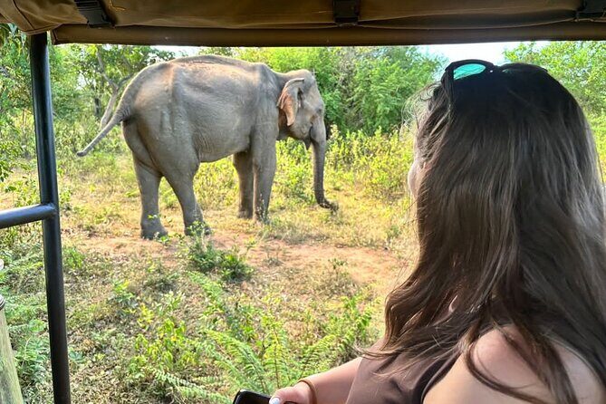 Udawalawe Safari & Elephant Orphanage visit from Hambantota Fort - Final Thoughts: Is It Worth It?